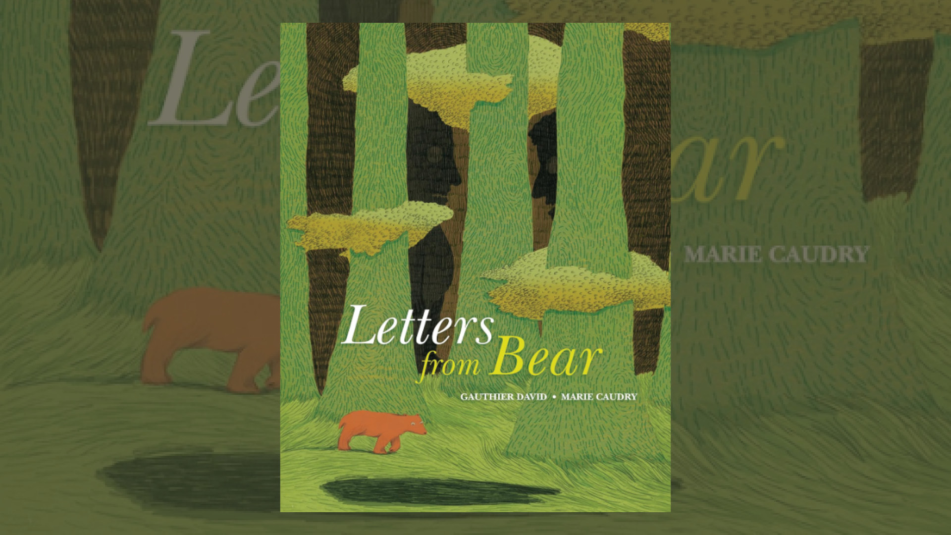 Letters from Bear