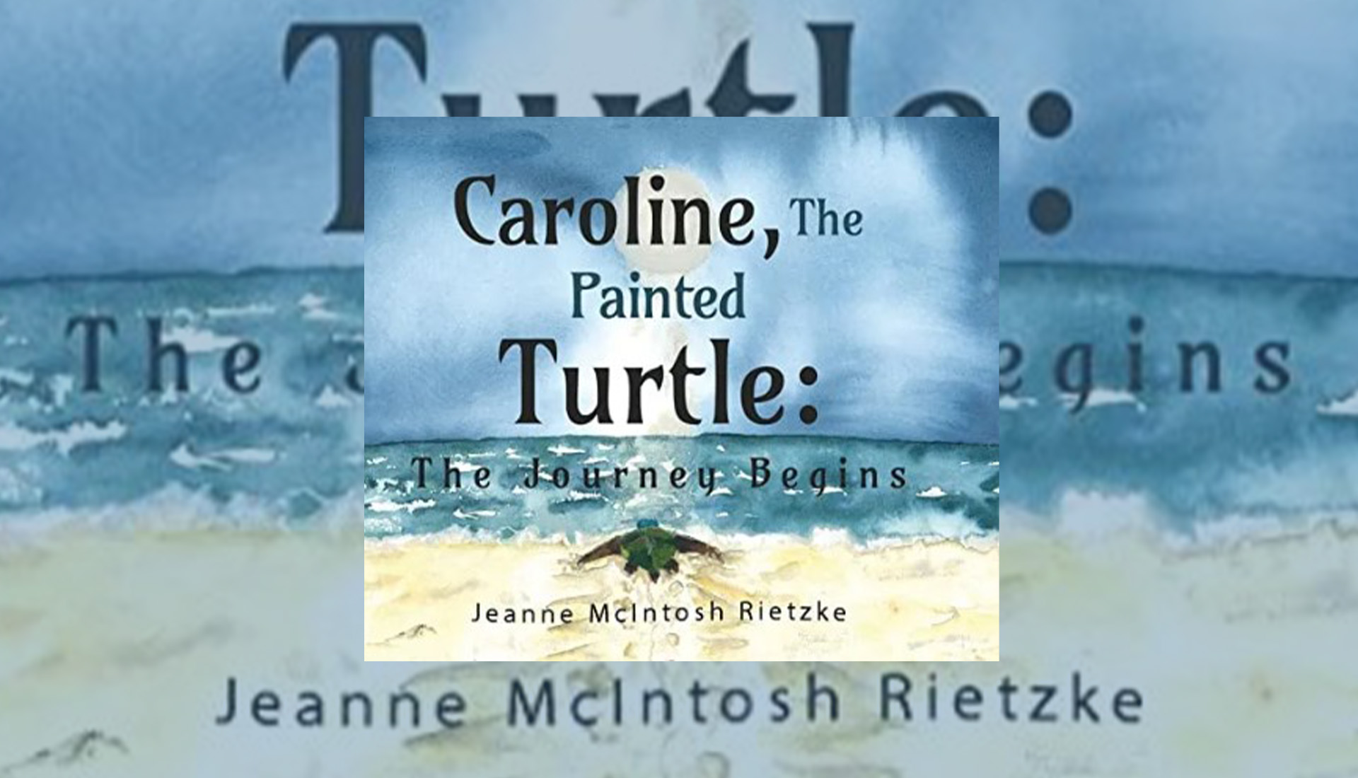 Caroline the Painted Turtle The Journey Begins