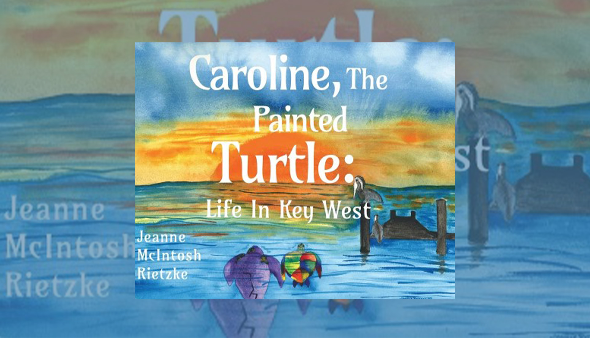 Caroline the Painted Turtle Life in Key West