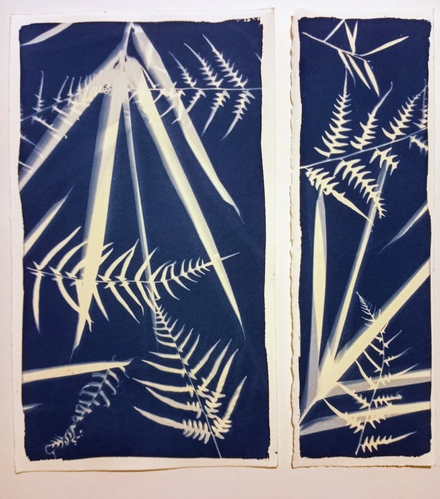 Donna-Moore-cyanotype-5-3f9ed3ea0ccd353f9be96141d40b28a4 image