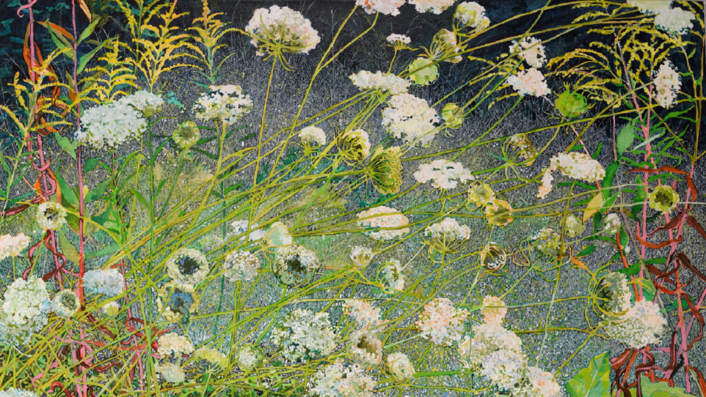 Artwork by Elizabeth Bradford, Queen Anne's Lace