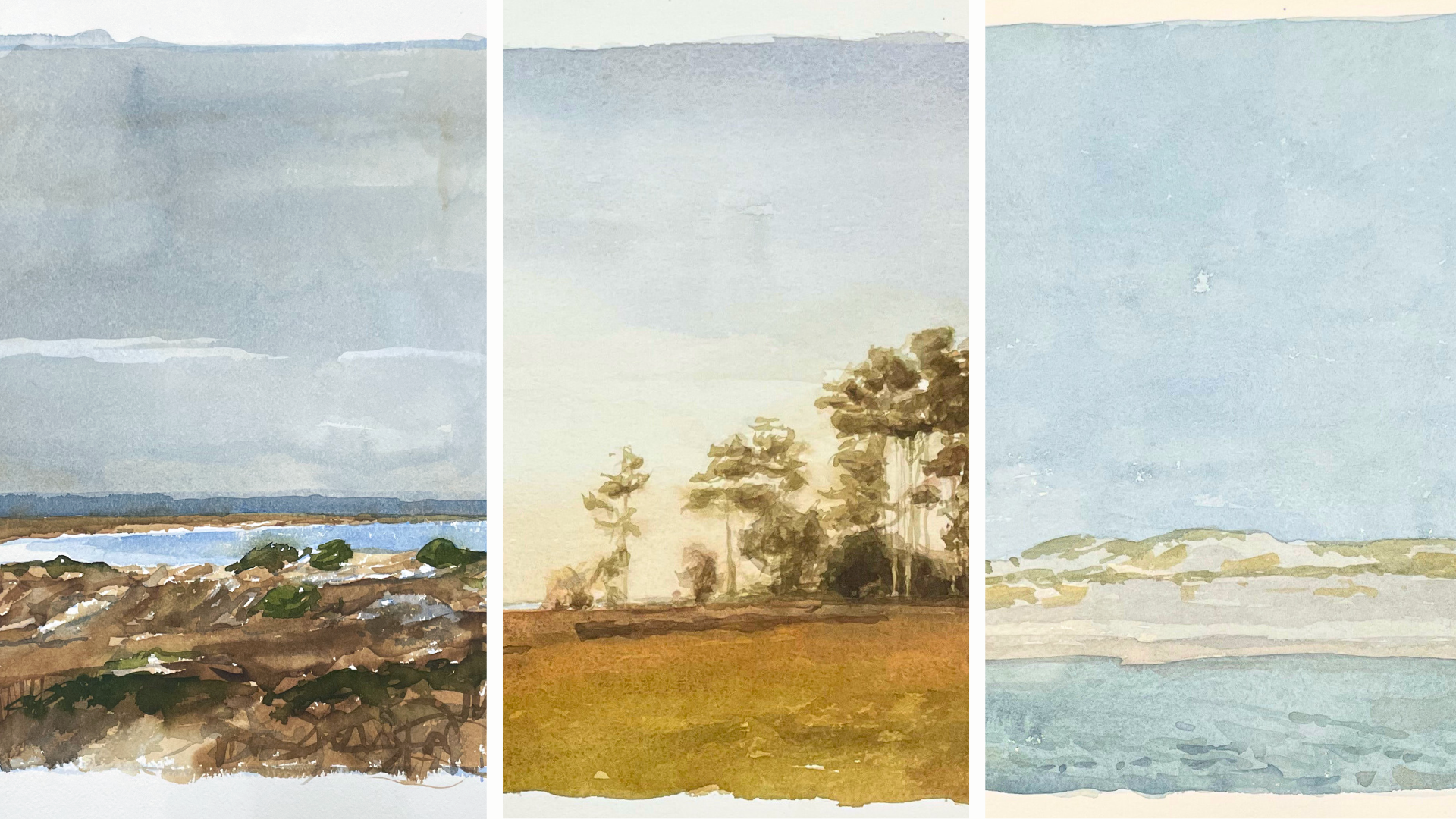 CAM - Wayne McDowel Watercolor images